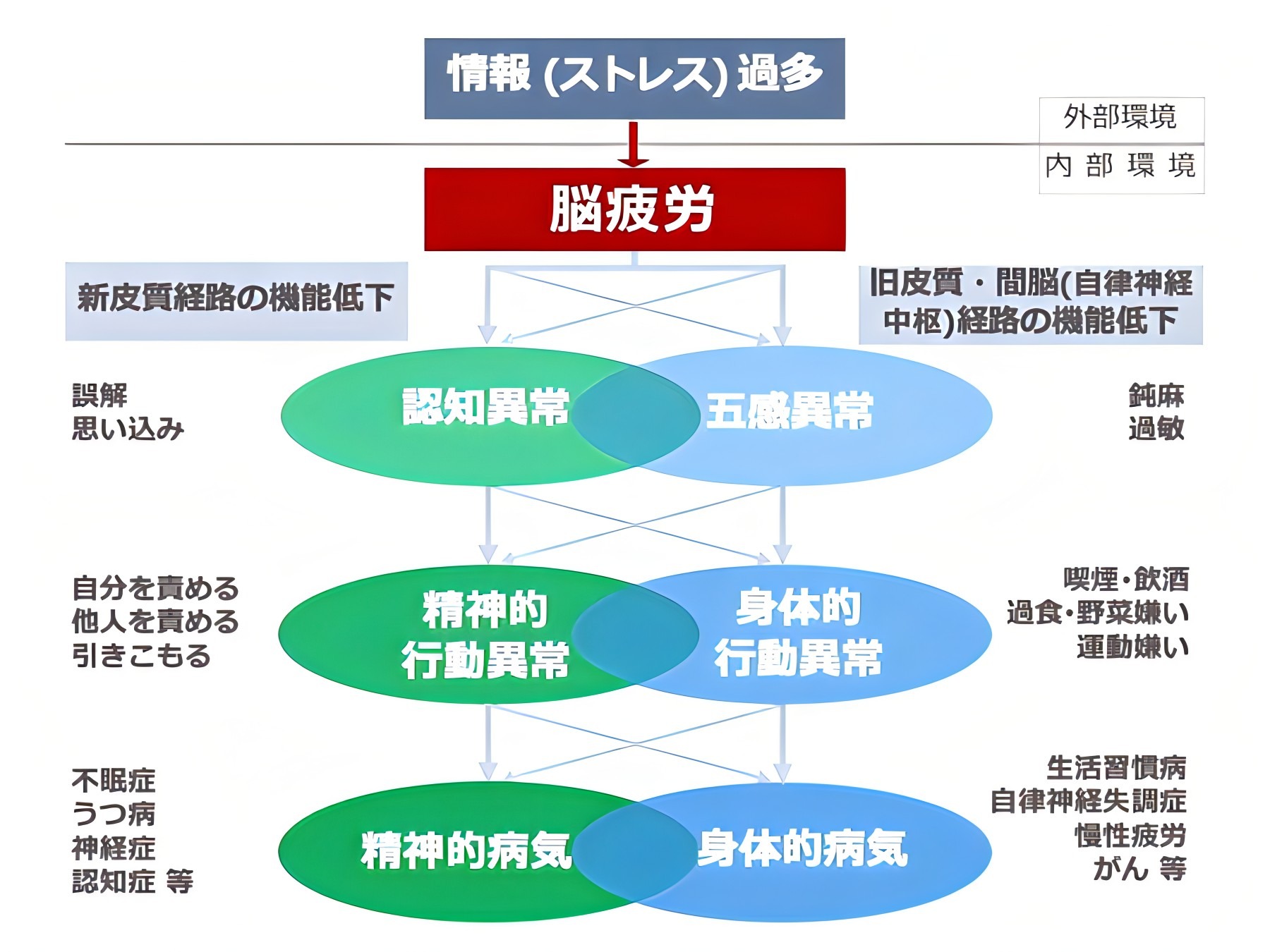 脳疲労が引き起こすさまざまな心身の病気を説明した図