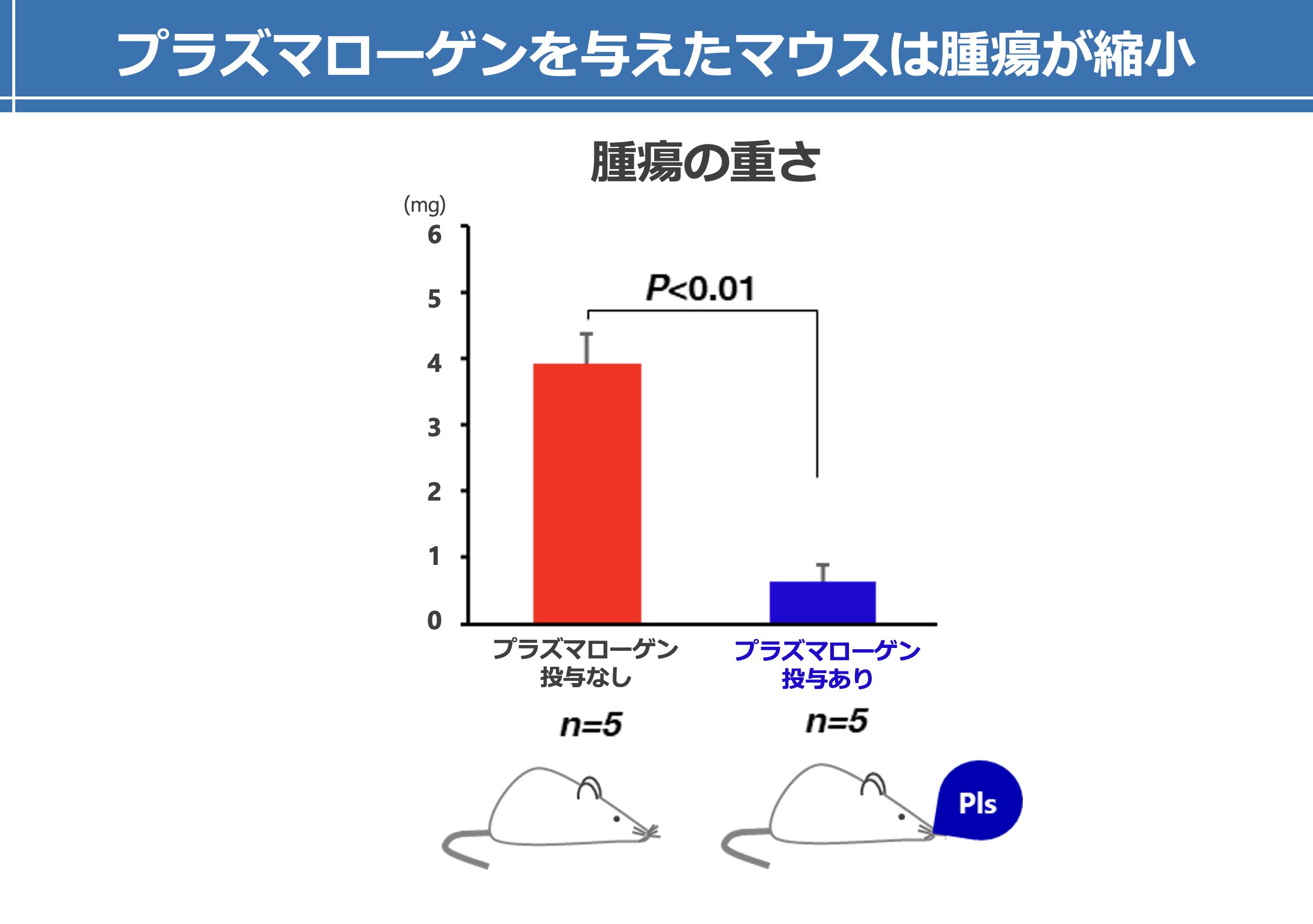 プラズマローゲン投与によってマウスの腫瘍が縮小した研究データ