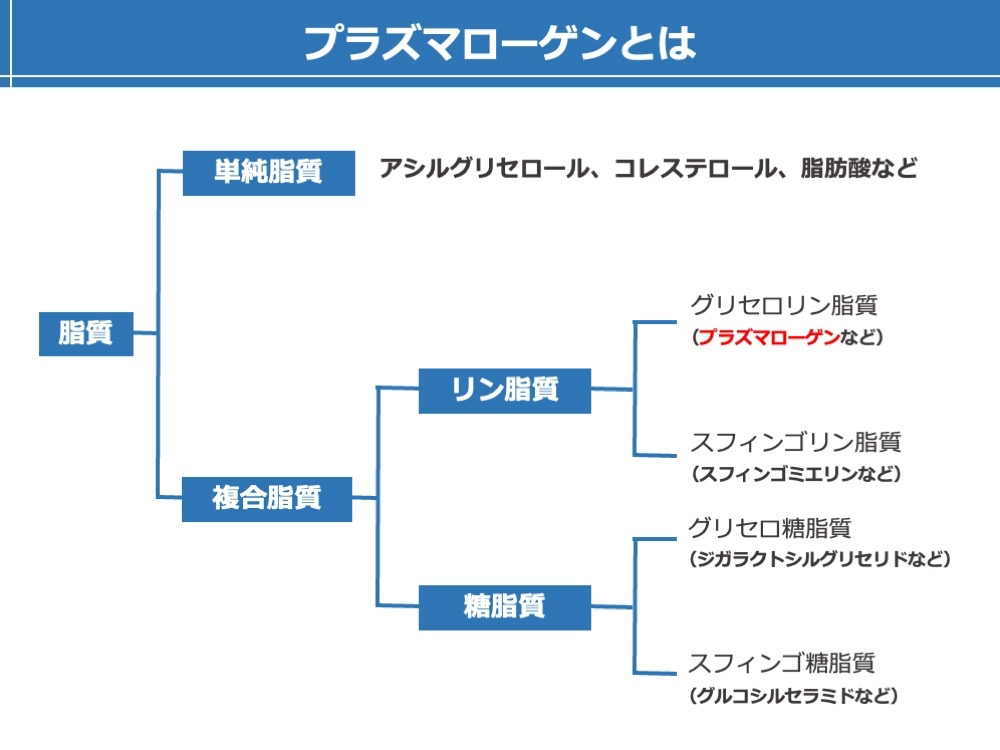 プラズマローゲンがリン脂質の一種であることを示した図