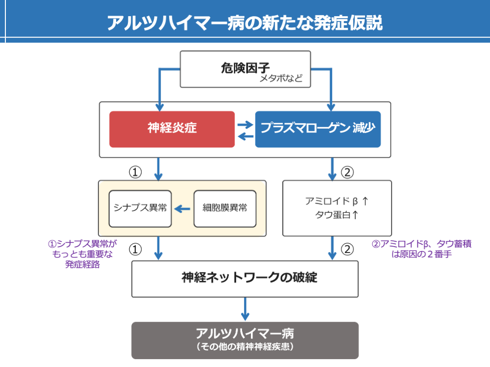 アルツハイマー病の発症にプラズマローゲンの減少が関わっていることを説明する図
